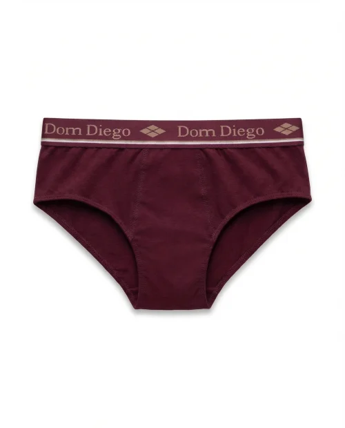 Cueca Slip VIP - Kit 3 (Algodao 100%)