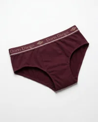 Cueca Slip VIP - Kit 3 (Algodao 100%) 2